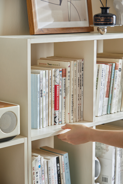 Teliera Bookshelf